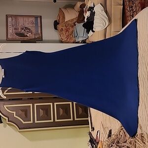 Zara Royal Blue Knit Dress